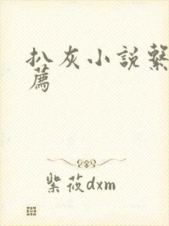 扒灰小说系列推荐