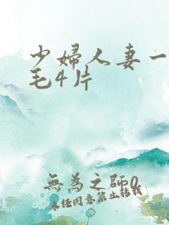 少妇人妻一级a毛4片