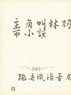 主角叫林羽的都市小说