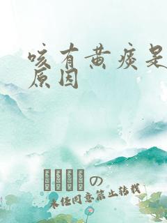 咳有黄痰是什么原因