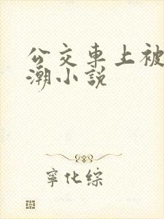 公交车上被弄高潮小说