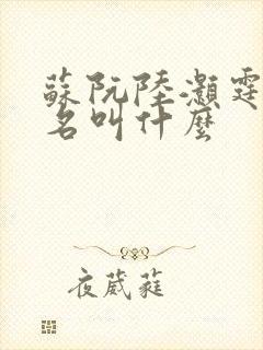 苏阮陆灏霆短剧名叫什么