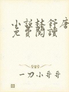 小说林舒唐亦琛免费阅读