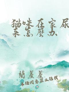 猫咪在家尿不出来怎么办
