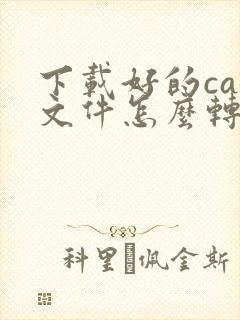 下载好的caj文件怎么转换成pdf