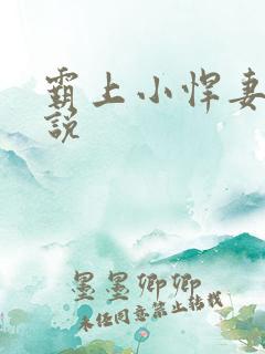 霸上小悍妻 小说