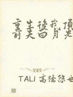 重生后我顶替了前夫白月光讲的什么