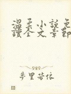 温柔小说免费阅读全文章节