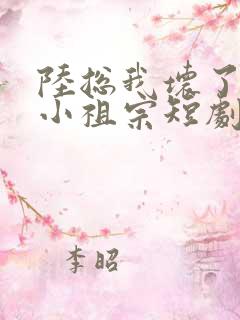 陆总我坏了你的小祖宗短剧全集