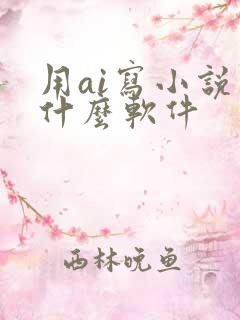 用ai写小说用什么软件
