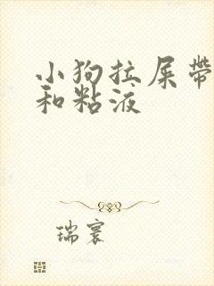 小狗拉屎带血丝和粘液