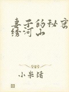 妻子的秘密 瑾绣河山