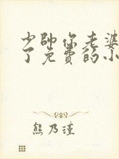 少帅你老婆又跑了免费的小说