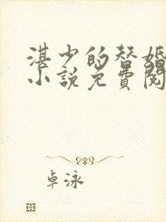 湛少的替婚新妻小说免费阅读
