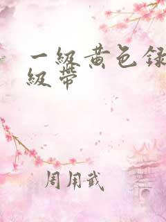 一级黄色录像一级带