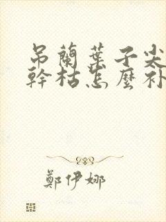 吊兰叶子尖发黄干枯怎么补救