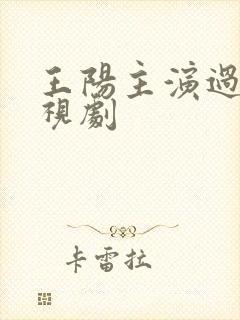 王阳主演过的电视剧