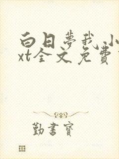 白日梦我小说txt全文免费下载