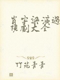 肖宇梁演过的电视剧大全