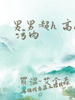 男男超h 高h 污肉