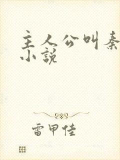 主人公叫秦初的小说