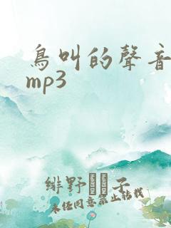 鸟叫的声音音效mp3