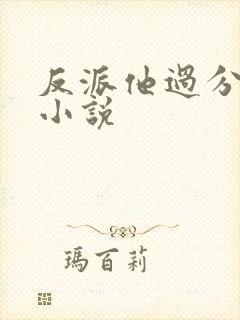 反派他过分美丽小说