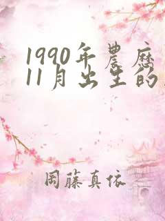 1990年农历11月出生的马命运怎样