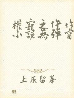 权宠之仵作医妃小说无弹窗无广告