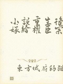 小说重生后绝不嫁给权臣宗肆在线阅读