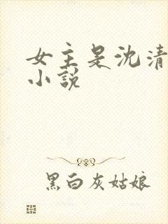 女主是沈清婉的小说