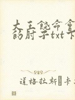 大王饶命会说话的肘子txt下载全本下载