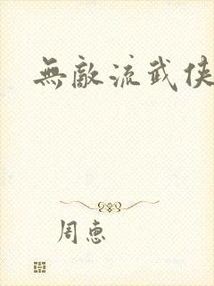 无敌流武侠小说