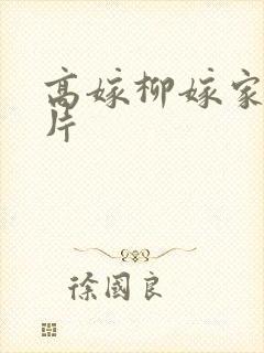 高嫁柳嫁家动画片