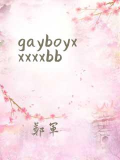 gayboyxxxxxbb