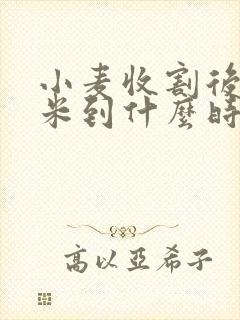 小麦收割后种玉米到什么时候成熟