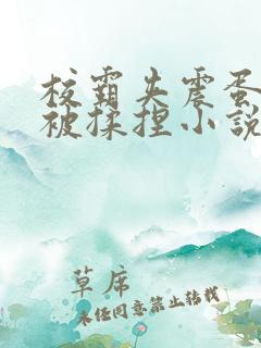 校霸夹震蛋上课被揉捏小说