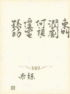 孙俪何润东主演的电视剧叫什么名字