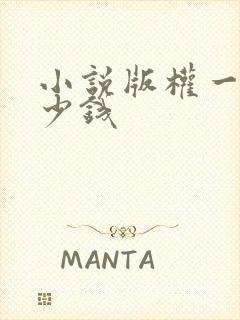 小说版权一般多少钱