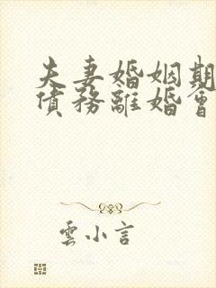 夫妻婚姻期间的债务离婚会怎么处理
