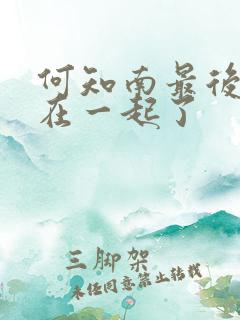 何知南最后和谁在一起了