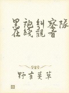 黑袍纠察队四季在线观看