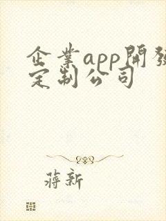 企业app开发定制公司