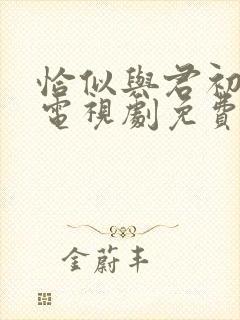 恰似与君初相识电视剧免费观看