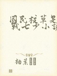 国民校草是女生 战七少小说