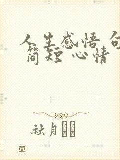 人生感悟 句子 简短 心情