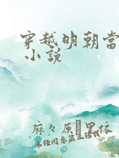 穿越明朝当暴君 小说