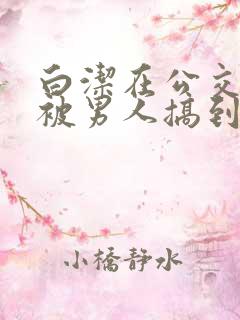 白洁在公交车上被男人搞到高潮