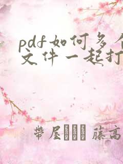 pdf如何多个文件一起打印