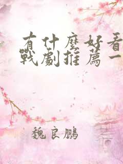有什么好看的谍战剧推荐一下